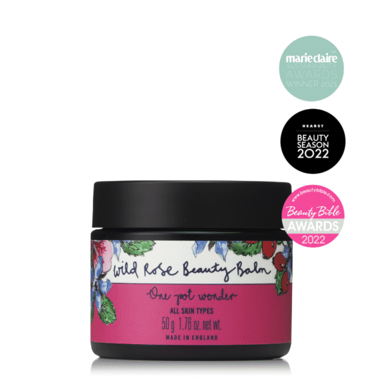 ביוטי באלם ורד הבר