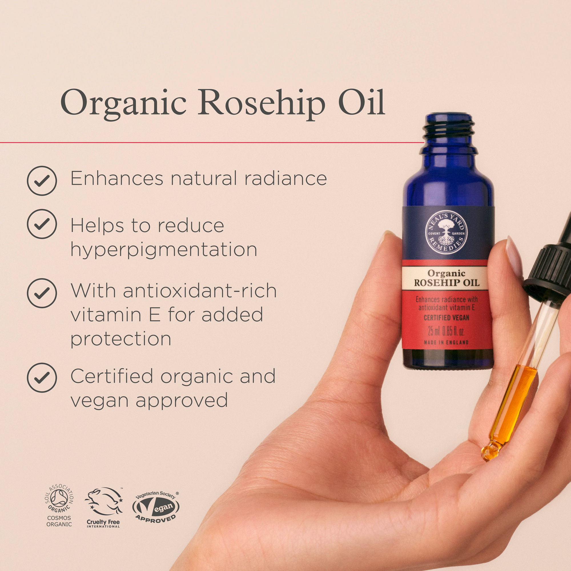 בוסטר רוזהיפ – תמונה 3