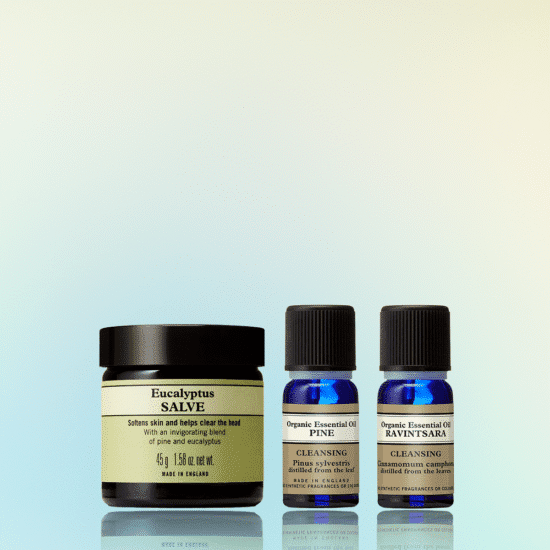 ערכת הכנה לחורף