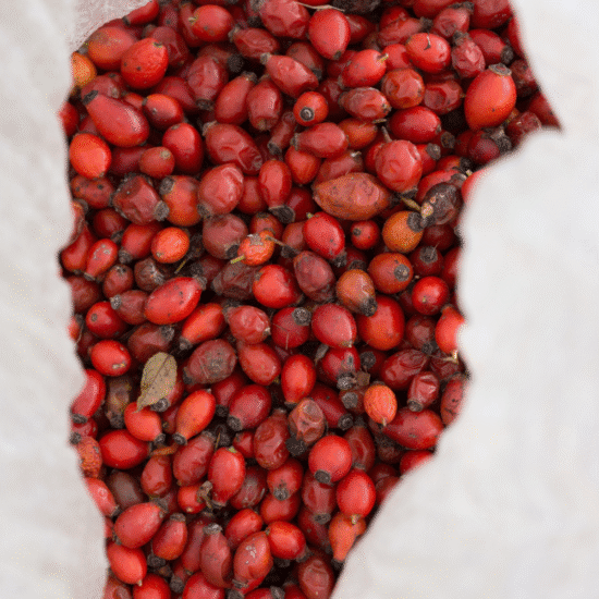 Alternative view of בוסטר רוזהיפ