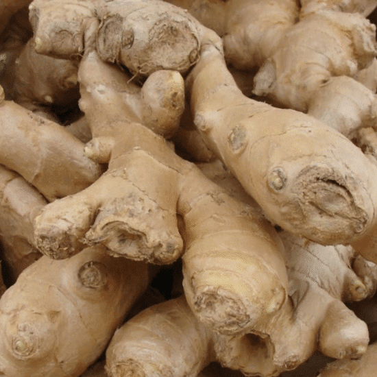 Alternative view of שמן עיסוי ג׳ינג׳ר-ג׳וניפר (500ml)