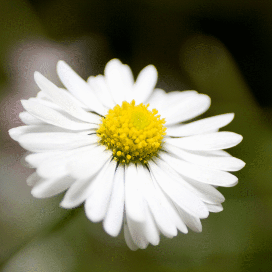 Alternative view of ⁠ספריי לילה לתינוקות