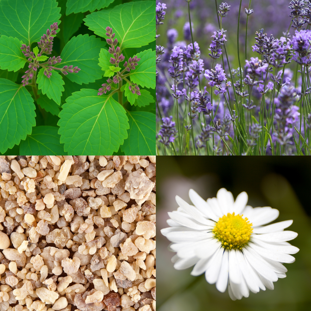 תערובת ארומתרפית - ללילה – תמונה 2