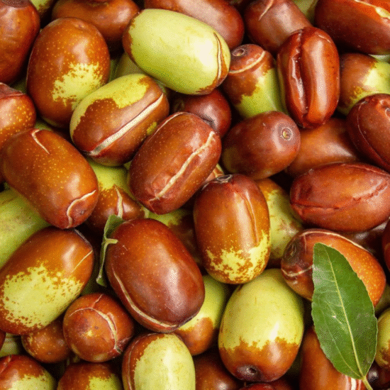 Alternative view of שמן חוחובה